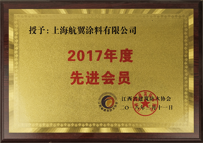 2017年度先进会员